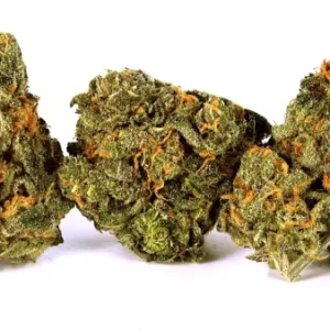 Blueberry Pie Marshmallow blends fruity berry sweetness, creamy vanilla notes, and earthy undertones, delivering euphoric relaxation and smooth,