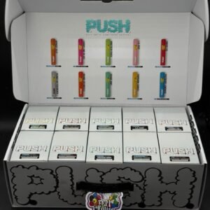 Push 2G Disposable: premium rechargeable vape with 2 g of potent distillate, strain-specific terpenes, ceramic coil, USB-C charging, sleek design,.