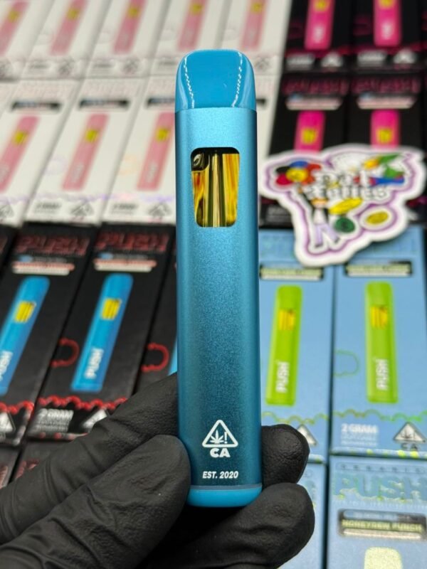 Push 2G Disposable: premium rechargeable vape with 2 g of potent distillate, strain-specific terpenes, ceramic coil, USB-C charging, sleek design,.