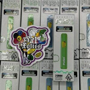 Push 2G Disposable: premium rechargeable vape with 2 g of potent distillate, strain-specific terpenes, ceramic coil, USB-C charging, sleek design,.