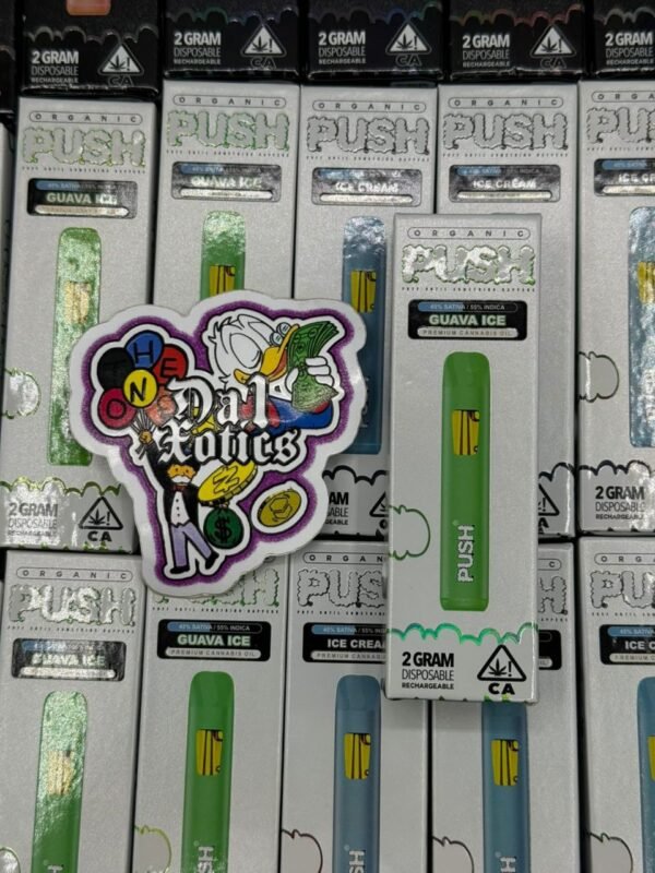 Push 2G Disposable: premium rechargeable vape with 2 g of potent distillate, strain-specific terpenes, ceramic coil, USB-C charging, sleek design,.