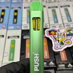 Push 2G Disposable: premium rechargeable vape with 2 g of potent distillate, strain-specific terpenes, ceramic coil, USB-C charging, sleek design,.