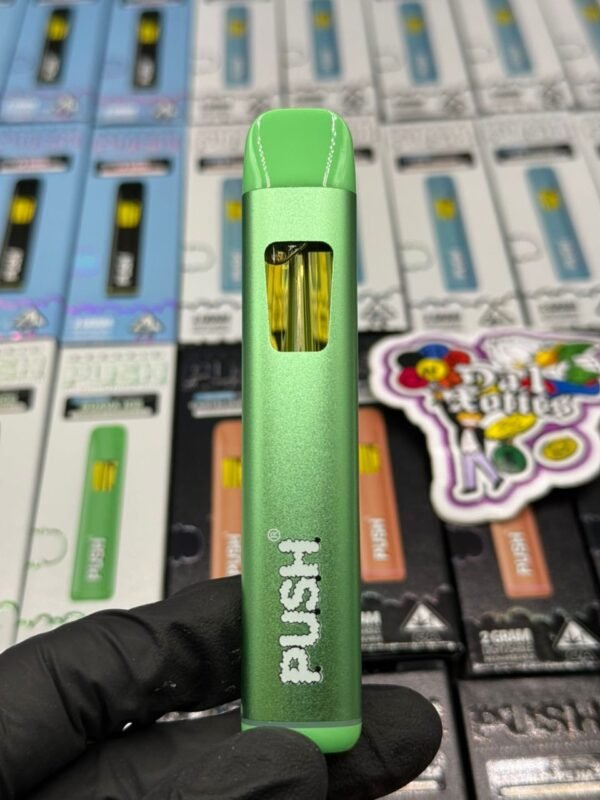 Push 2G Disposable: premium rechargeable vape with 2 g of potent distillate, strain-specific terpenes, ceramic coil, USB-C charging, sleek design,.