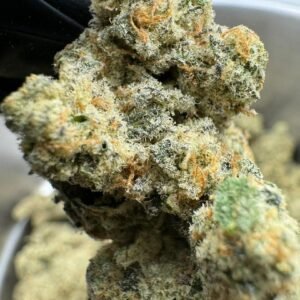 Autumn sunset x blueberry mac strain is not a strain—it’s an onslaught of flavor and fire, a beast born from twilight skies and cosmic fruit storms.