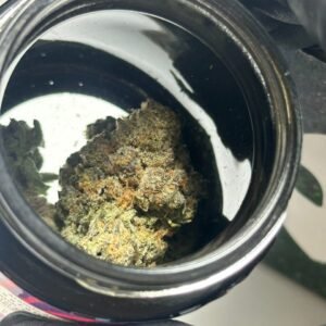 Alien Labs 3.5g Jars—trichome-crusted buds ignite the mind, crush the body, and unleash terpene-rich chaos in every explosive hit.