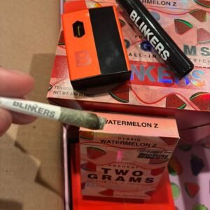 Blinkers 2G Disposable Fruit Edition, packed with fruity terpene flavors, premium cannabis oil, and long-lasting potency in a sleek rechargeable vape.