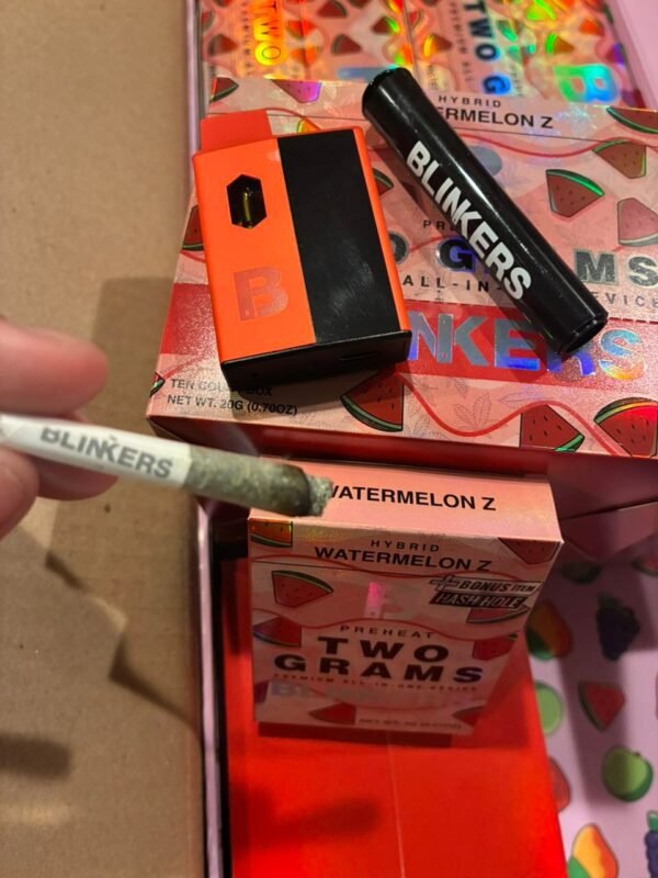 Blinkers 2G Disposable Fruit Edition, packed with fruity terpene flavors, premium cannabis oil, and long-lasting potency in a sleek rechargeable vape.