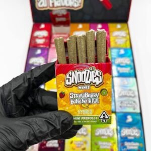 Enjoy smooth, flavorful sessions with 3.5G Snoozies Minis Pre-Rolls. Premium cannabis flower, perfectly rolled for convenience, portability, and quality.